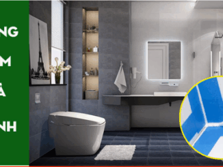 chống thấm nhà vệ sinh